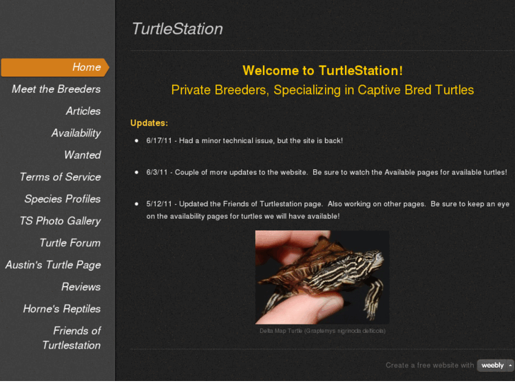 www.turtlestation.com