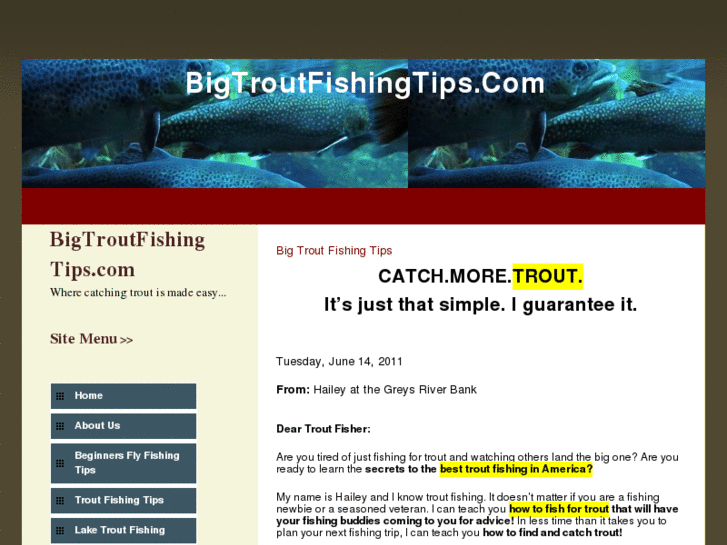 www.bigtroutfishingtips.com