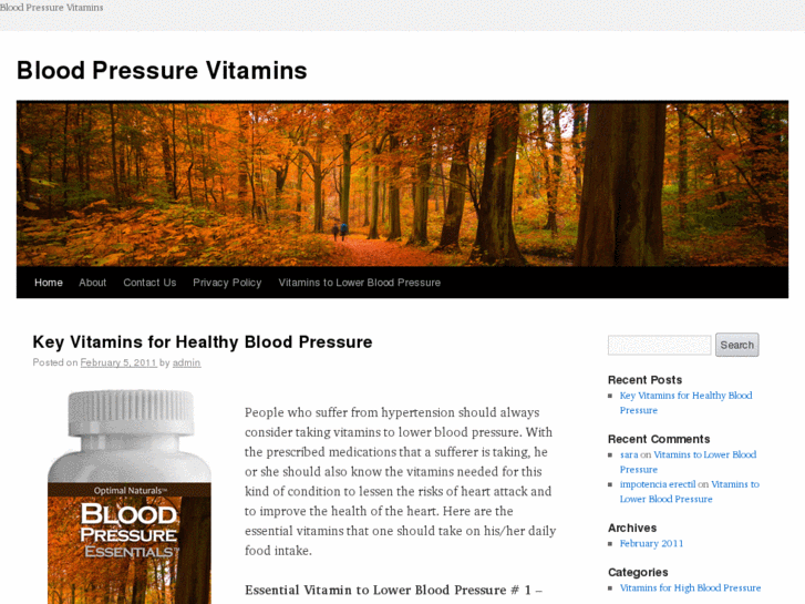 www.bloodpressurevitamins.com