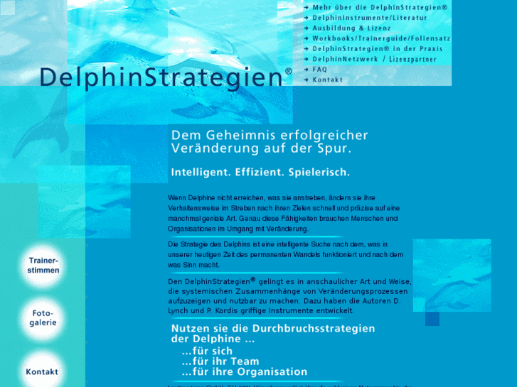 www.delphinstrategien.com