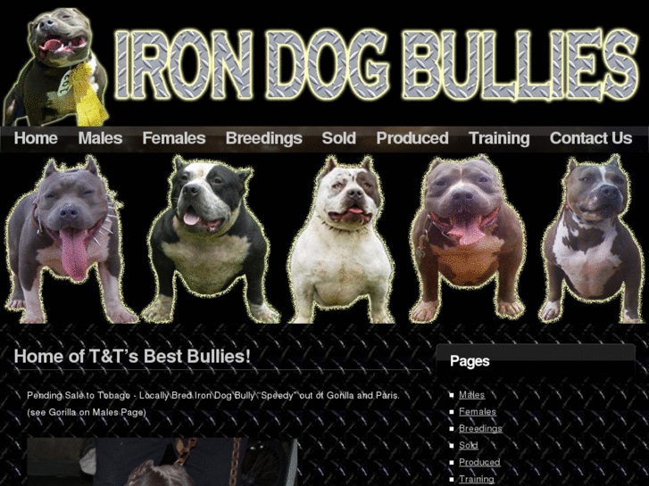 www.irondogbullies.com