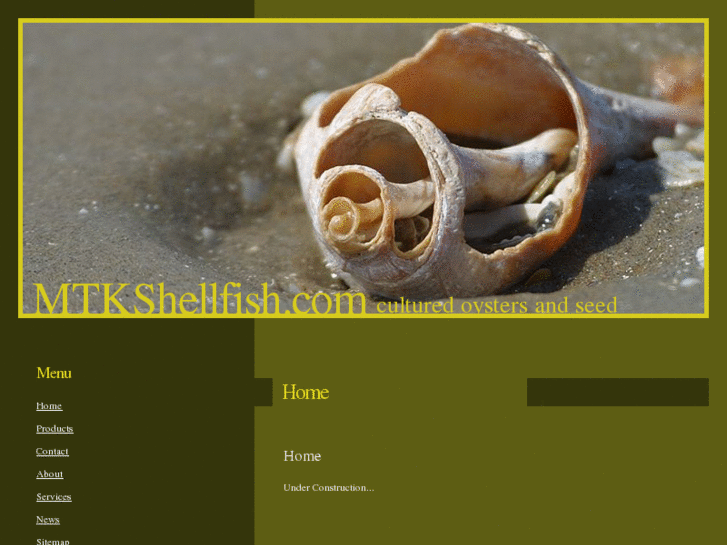 www.mtkshellfish.com