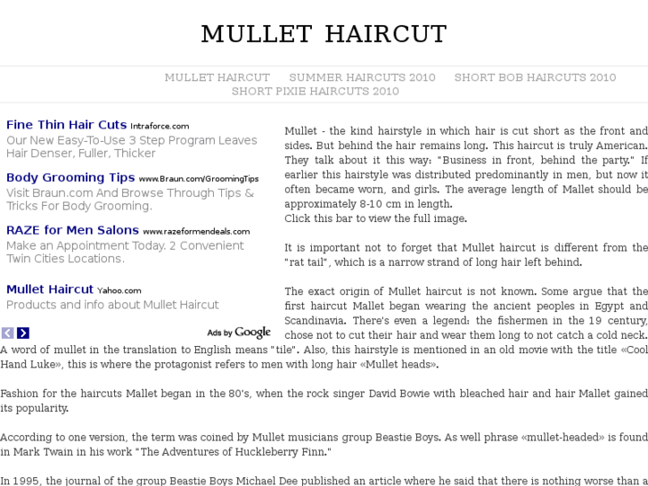 www.mullethaircut.info