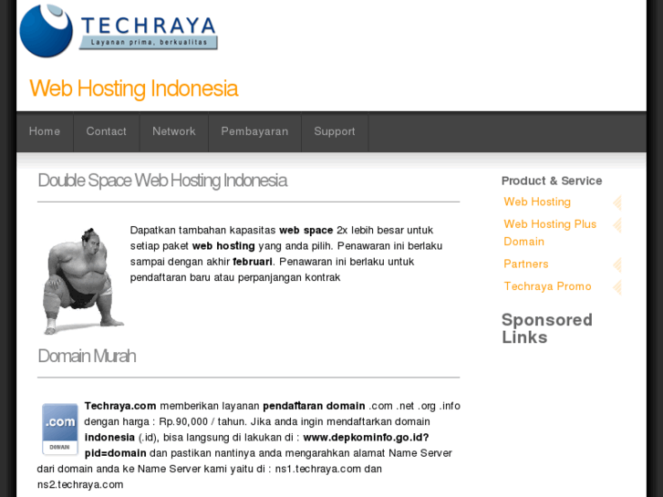 www.techraya.com