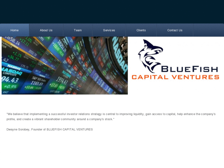 www.bluefishcapitalventures.com