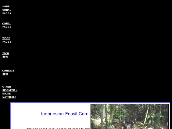 www.indonesianfossilcoral.com