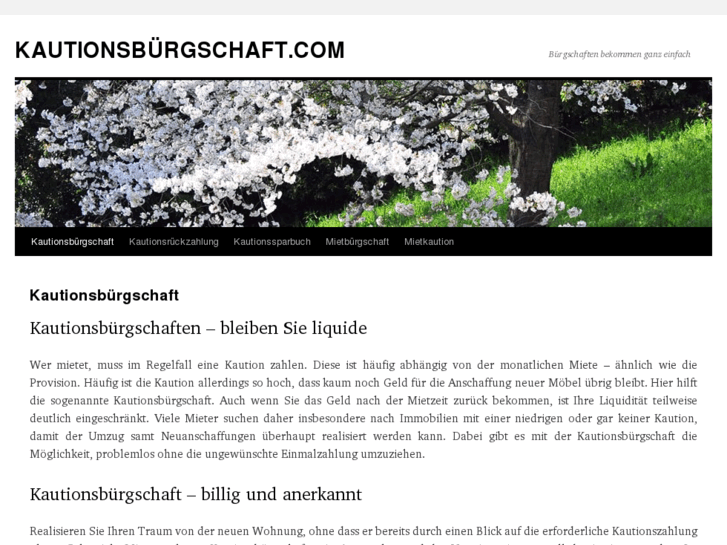 www.kautionsbuergschaft.com