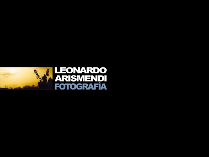 www.leonardoarismendi.com