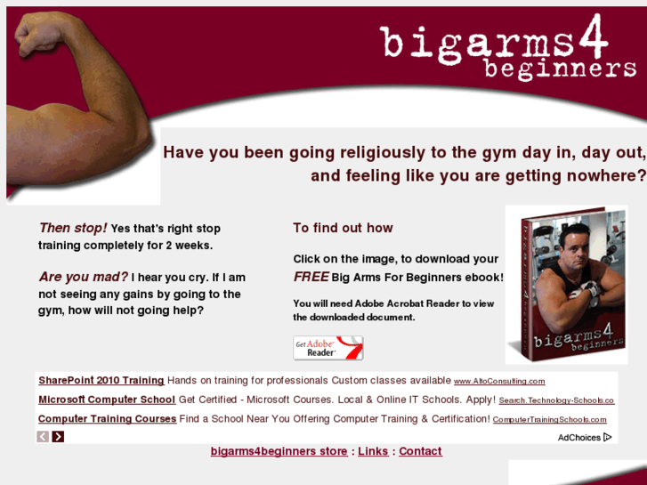 www.bigarms4beginners.com