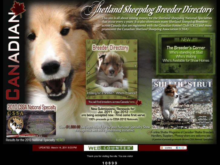 www.canadiansheltiebreeders.ca