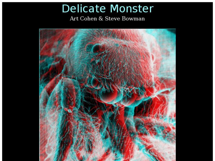 www.delicate-monster.com