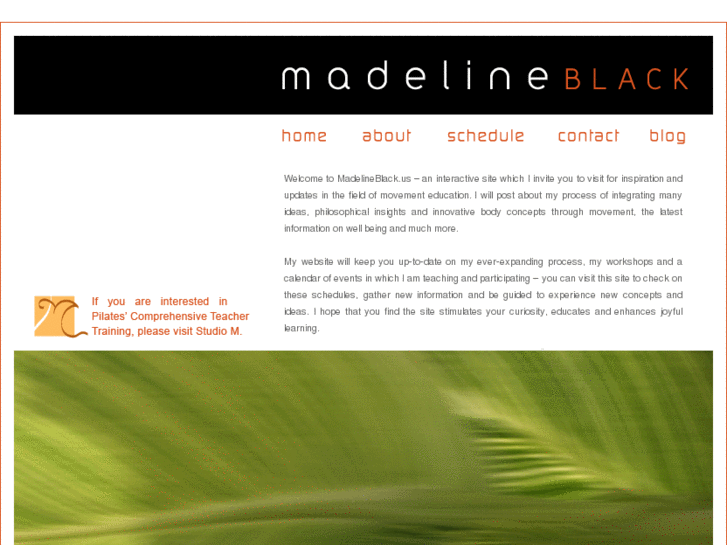 www.madelineblack.com