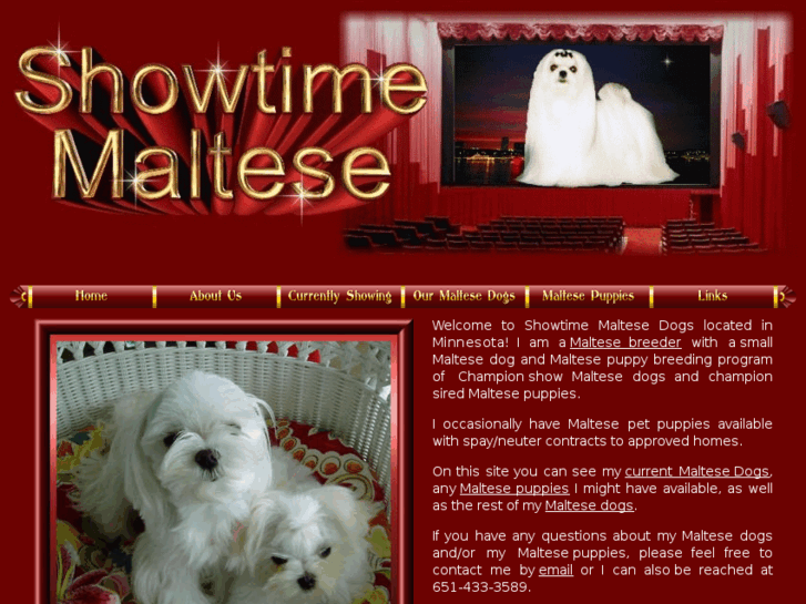 www.showtimemaltese.com