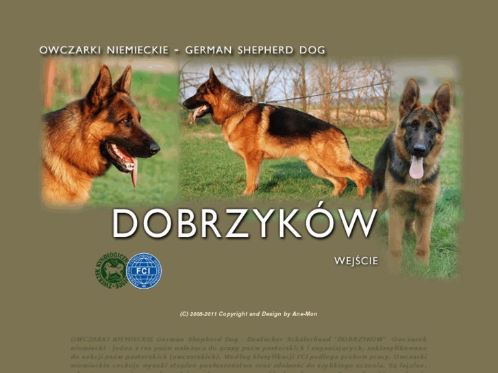 www.dobrzykow.com