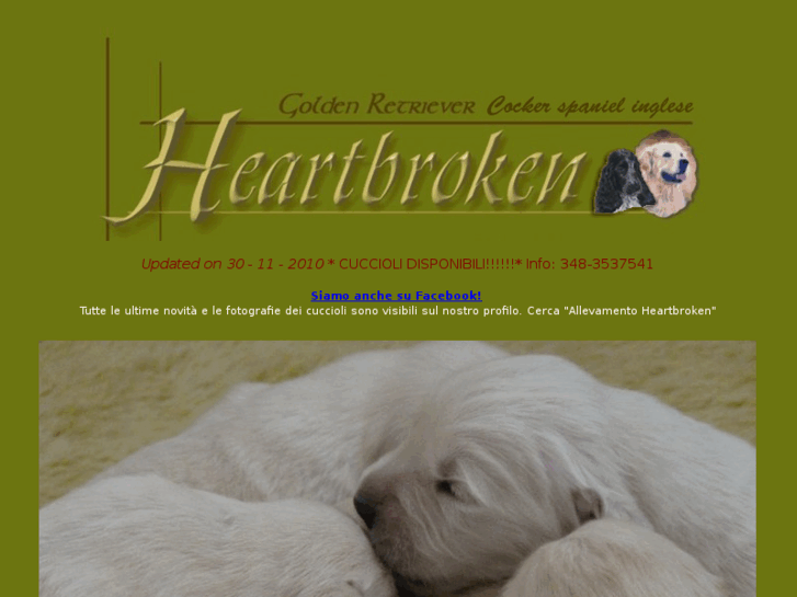 www.heartbrokenretriever.com