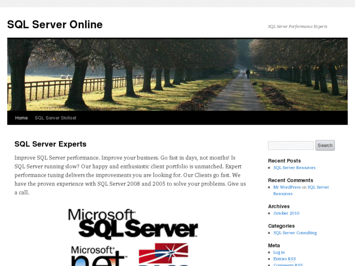 www.sqlserveronline.biz