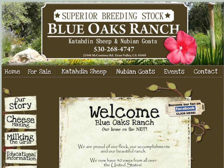 www.blueoaksranch.org