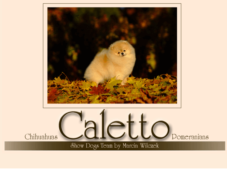 www.caletto-kennel.pl