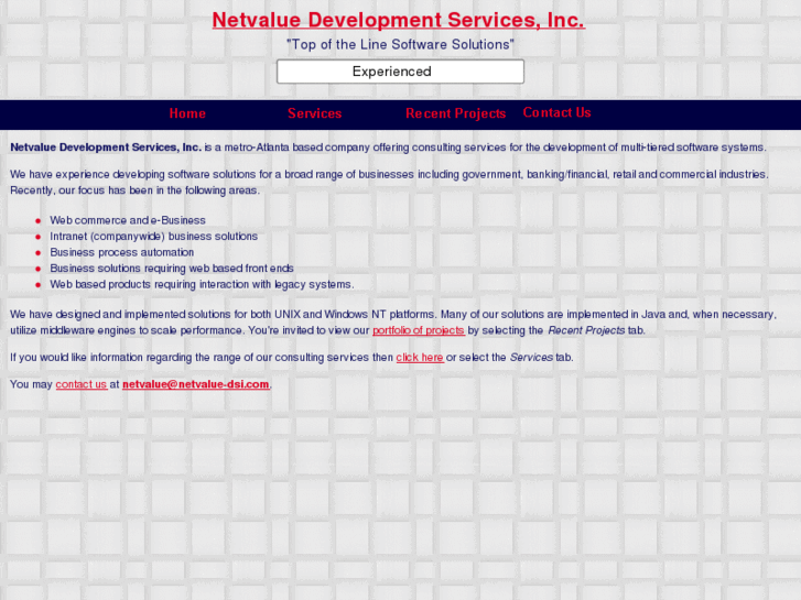www.netvalue-dsi.com