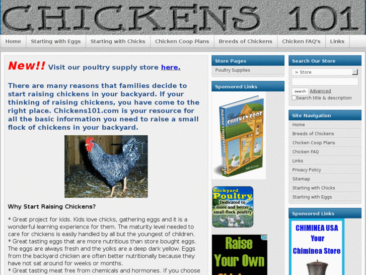 www.chickens101.com