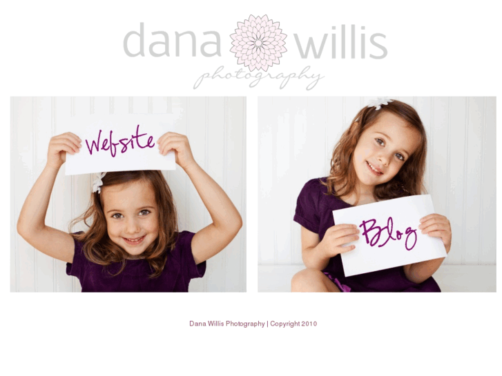 www.danawillis.com