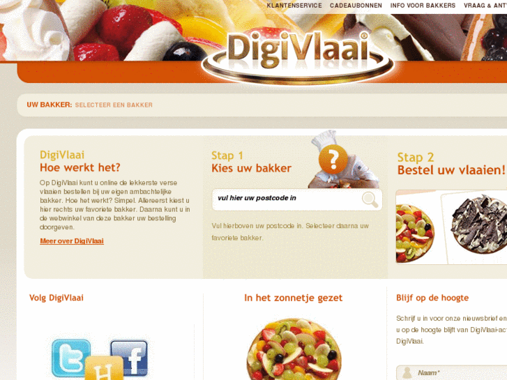 www.digivlaai.nl