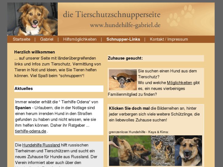 www.hundehilfe-gabriel.de