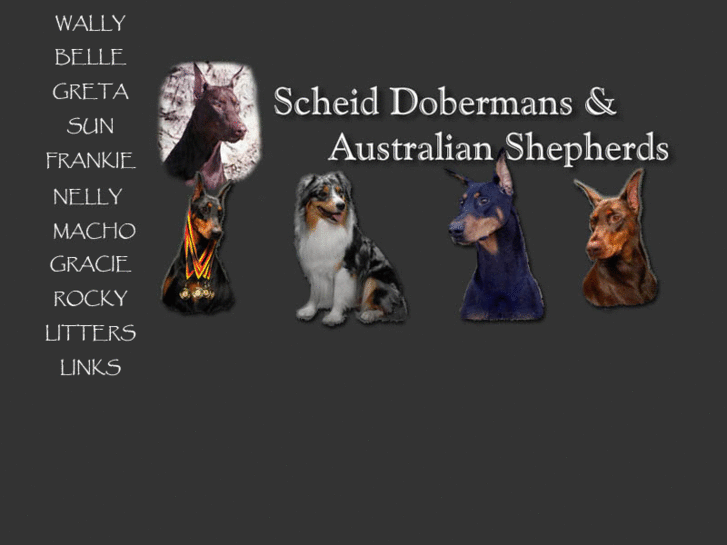 www.scheiddobermans.com