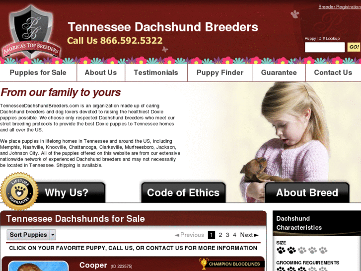 www.tennesseedachshundbreeders.com