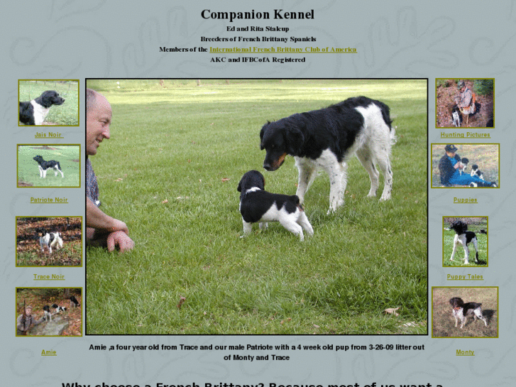 www.companionkennel.com