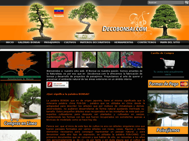 www.decobonsai.com