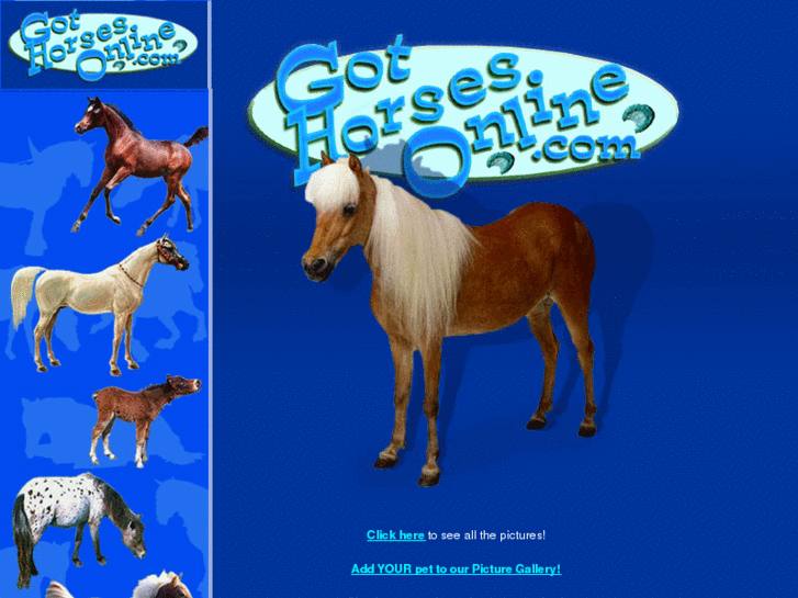 www.gothorsesonline.com