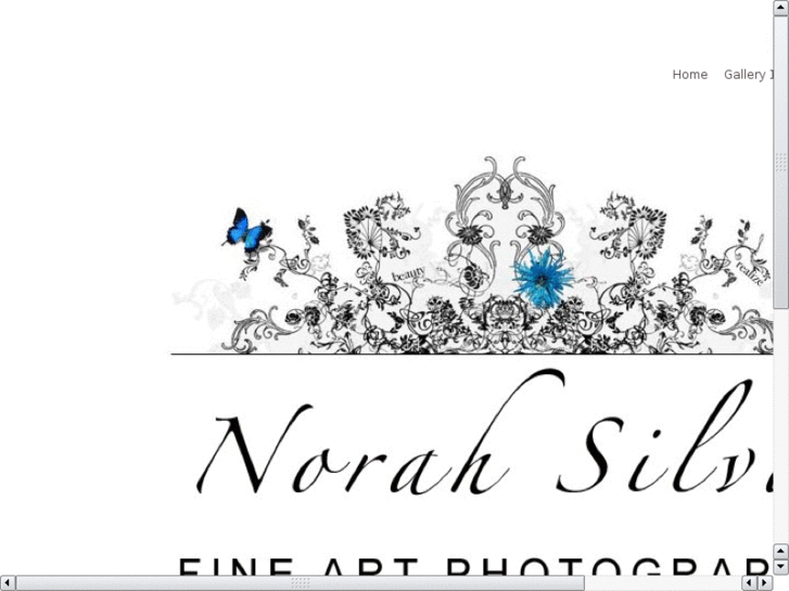 www.norahsilva.com