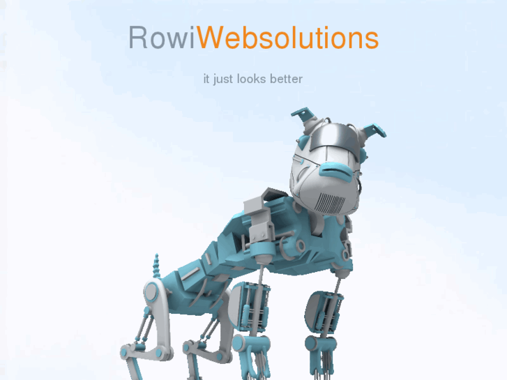 www.rowiwebsolutions.nl