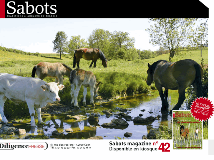 www.sabots-magazine.com