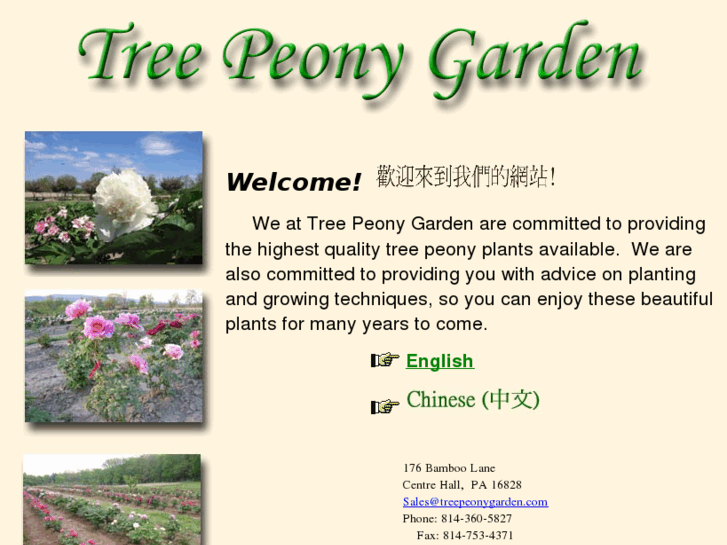 www.treepeonygarden.com