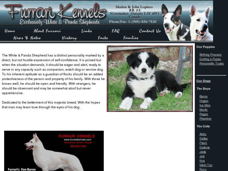 www.furrarikennels.com