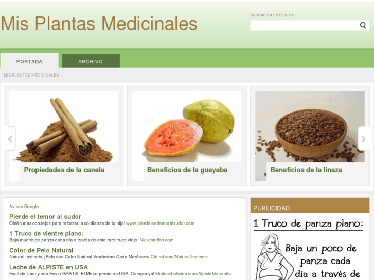 www.misplantasmedicinales.com