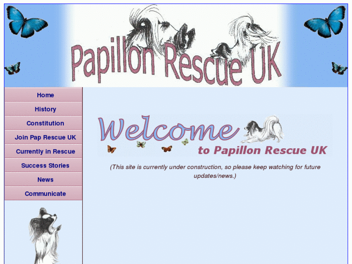 www.papillonrescueuk.com