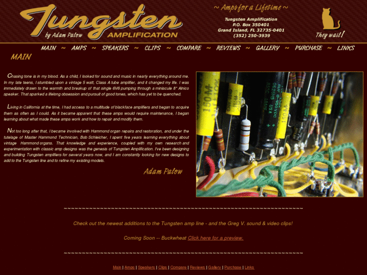 www.tungstenamp.com