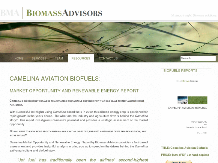 www.biomassadvisors.com