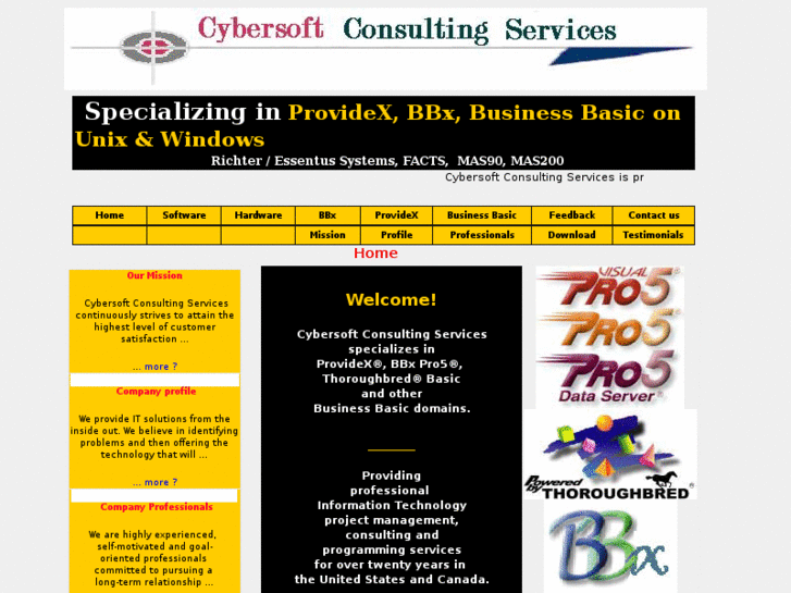 www.cybersoftconsulting.com