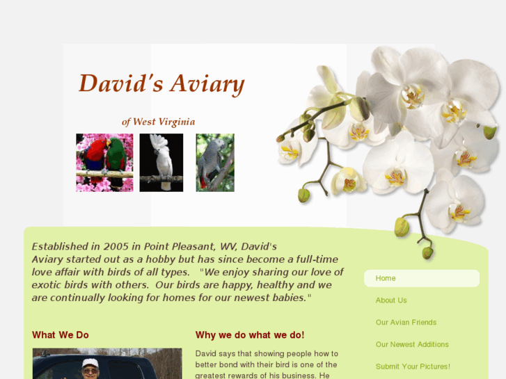 www.davidsaviary.com