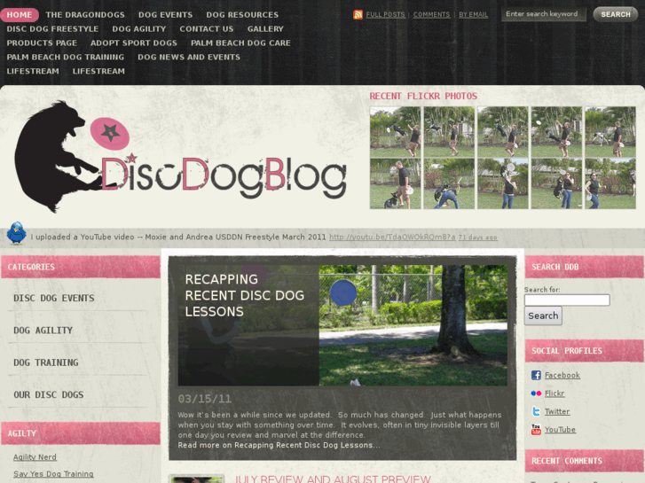 www.discdogblog.com