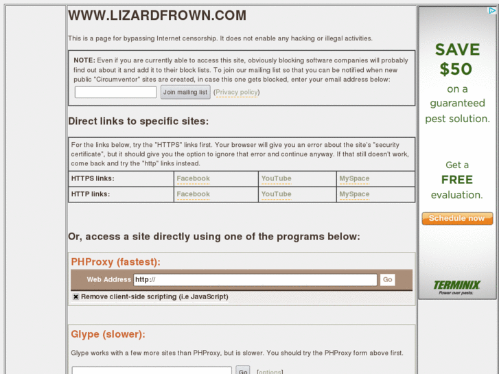 www.lizardfrown.com