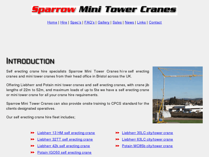 www.minitowercranes.com