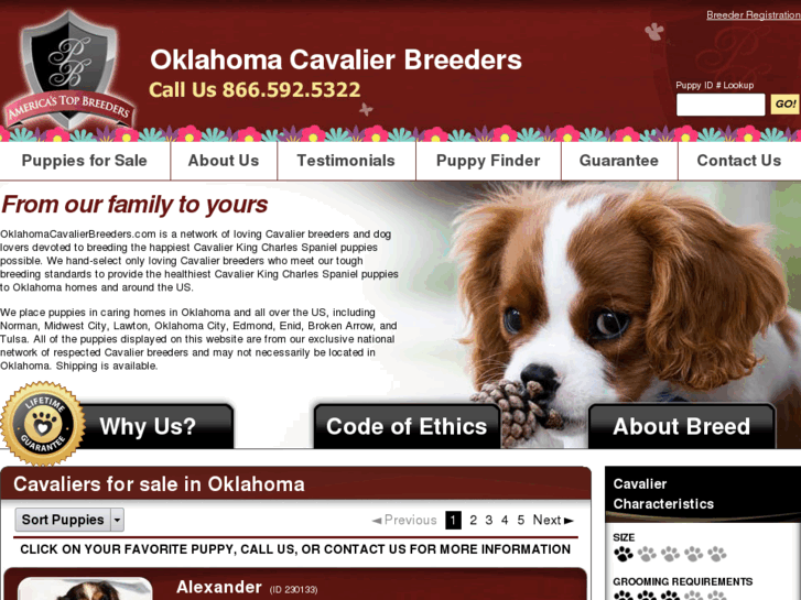 www.oklahomacavalierbreeders.com