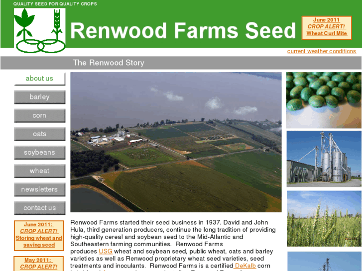 www.renwoodseed.com