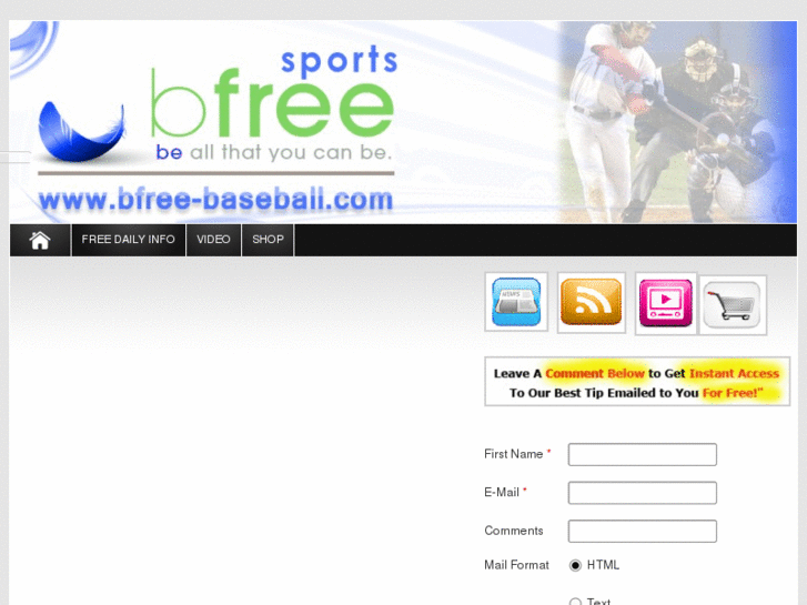 www.bfree-baseball.com