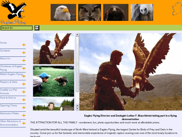 www.eaglesflying.com